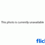 1833702_f2c7a0085b_m