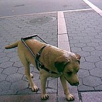 2773012394_1220653aac_m
